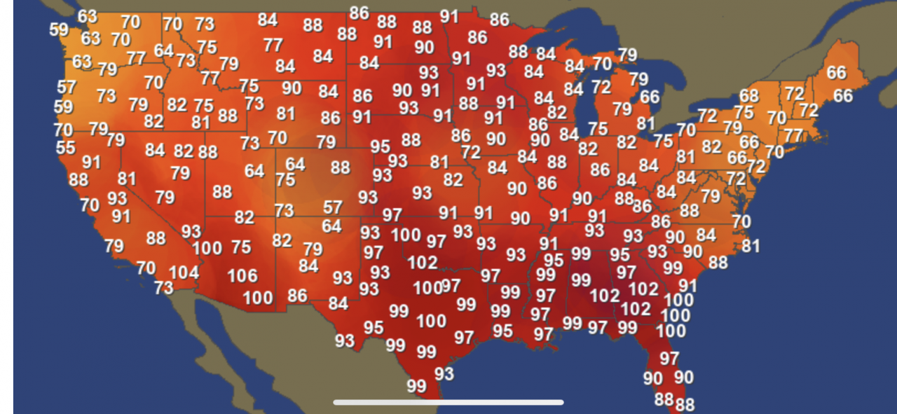 51D10678-2A4F-4C7A-9664-F59978107C29.png