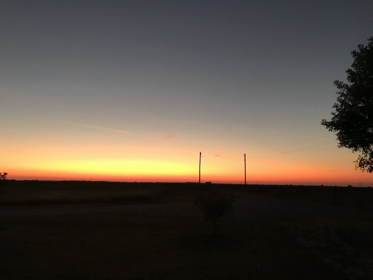 529C8D8A-4004-4A6D-9077-C0DF697FB6FF.jpeg
