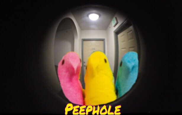 5515CD5C-98F6-4C4B-9EB1-0D3D3D8568E6.jpeg