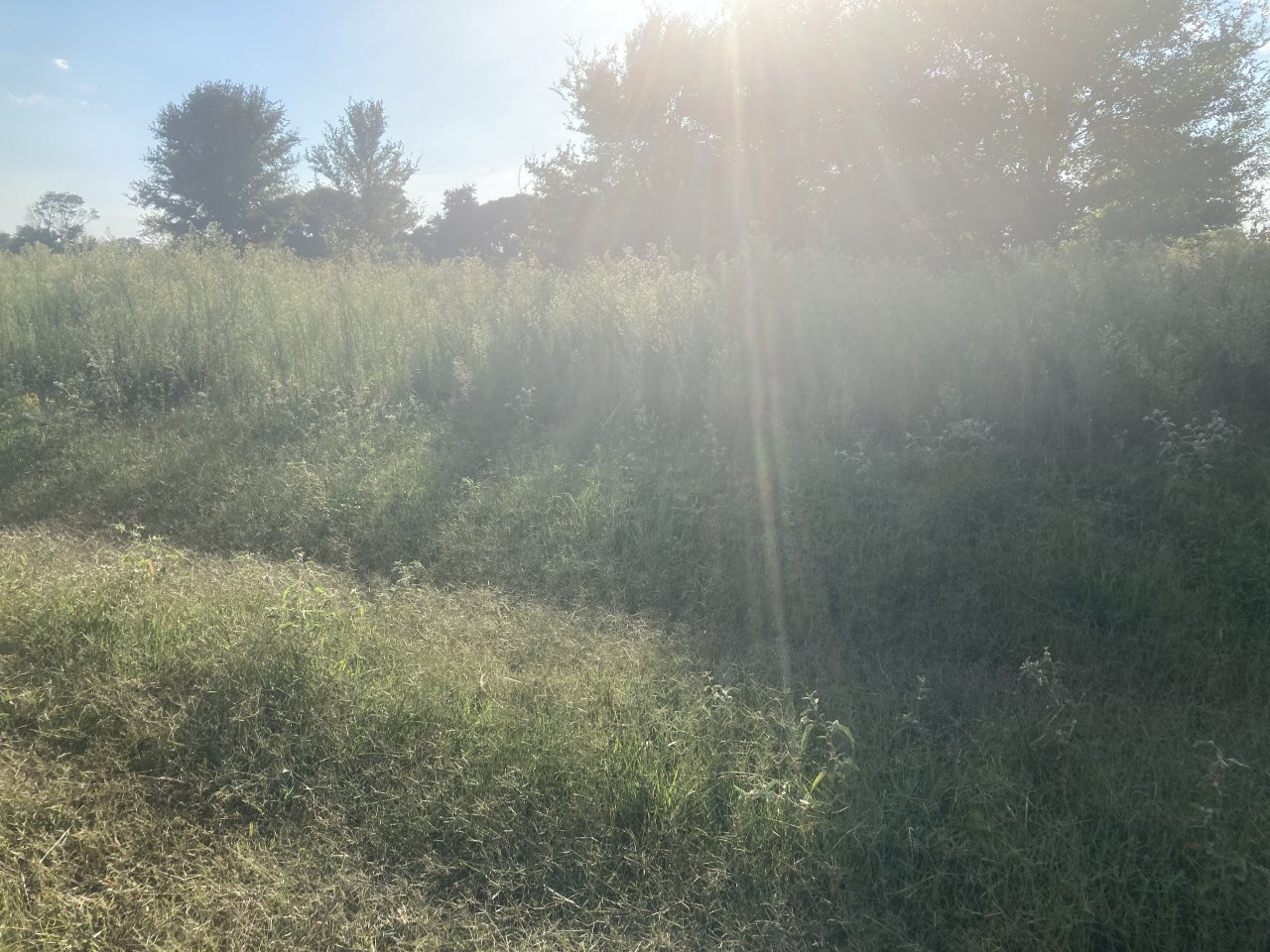 5E444BD7-DC1A-41BE-AECE-627F9761531F.jpeg