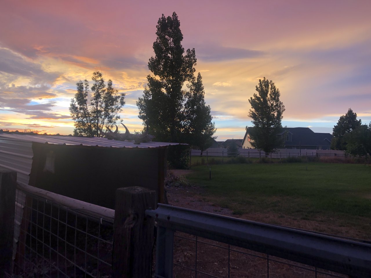 5EA65CFF-DAE0-4F19-8E26-6D125D1034E6.jpeg