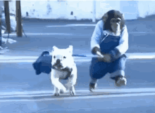 5F6FD71A-E6DD-431D-A7BA-4E97937D7FE0.gif