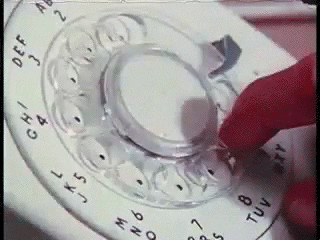5qFCwm9v4JrG82RkLK.gif