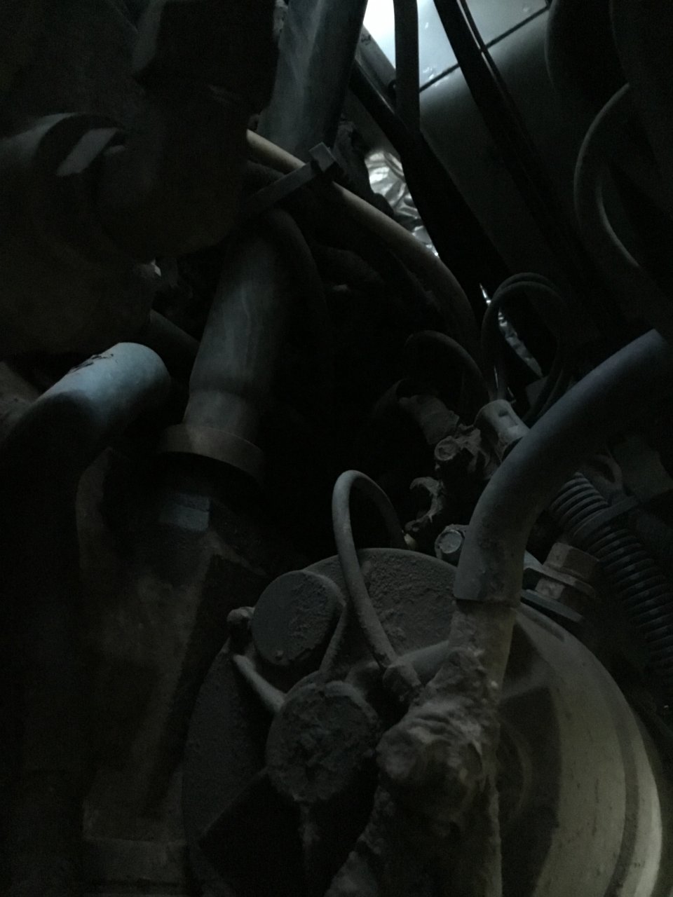 6236CEC9-9ED0-4828-BCA2-52A8D8B31E93.jpeg