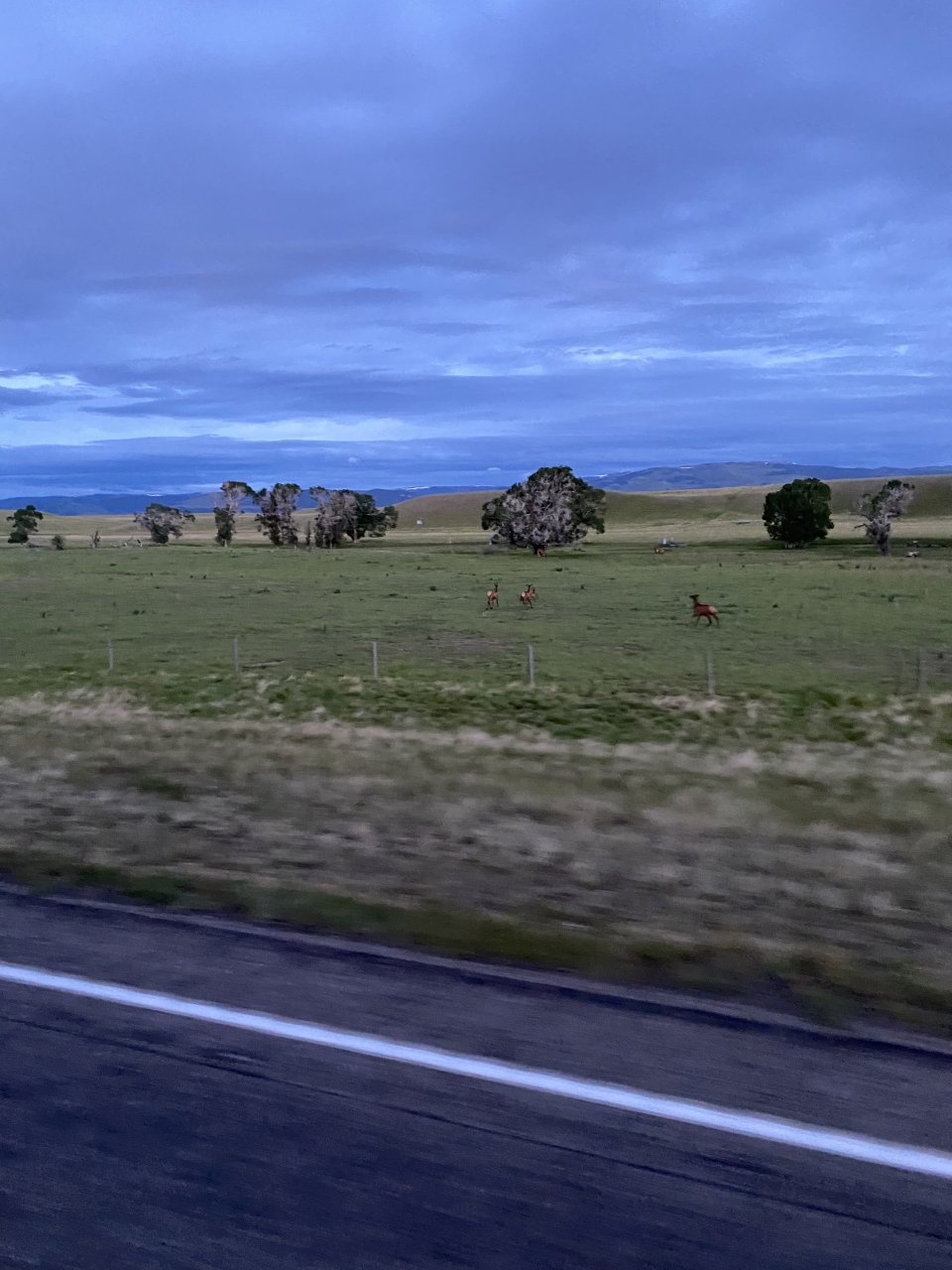 62DB093E-5C27-4EEF-BA73-89B8F5C3B767.jpeg