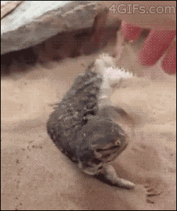 63536216-7962-4ABF-9C95-BBCFAC15ED59.gif