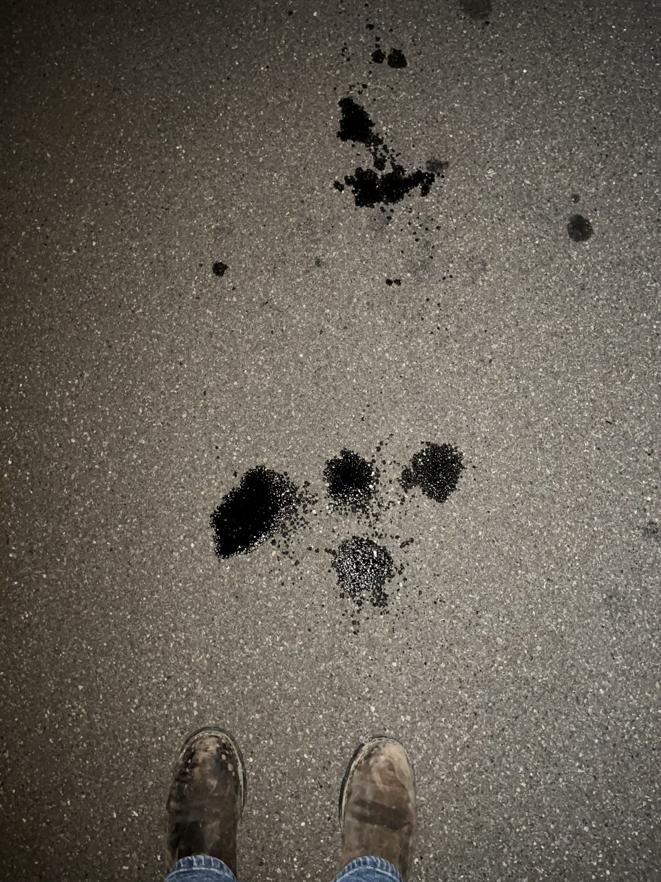 63885C2D-5F13-496F-B0B7-220B94C14527.jpeg