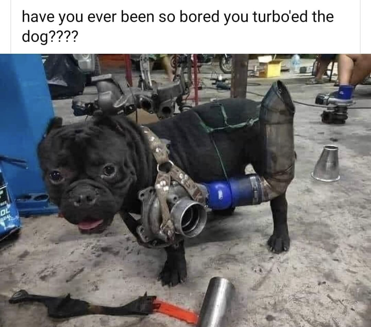 666915E0-90D8-4884-B656-39141344718B.jpeg