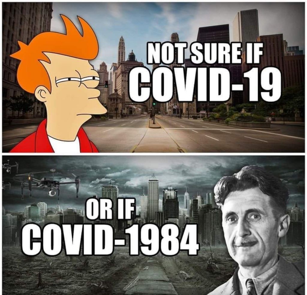 6724B504-F71E-43E6-957E-661F398C7594.jpeg