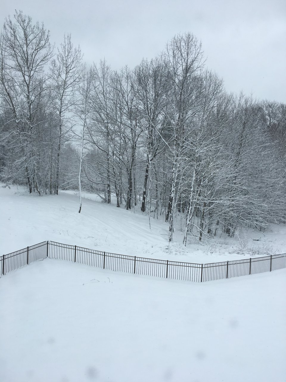 6939F2AA-353D-4248-ABD1-60DE07380D34.jpeg