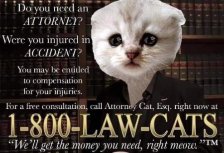 6a00d8345170df69e2027880147ee1200d-450wi.png