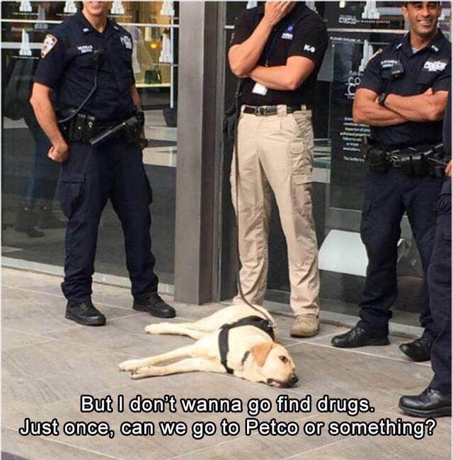6CFD3B37-E906-49D9-92F8-CF388EBF8C36.jpeg