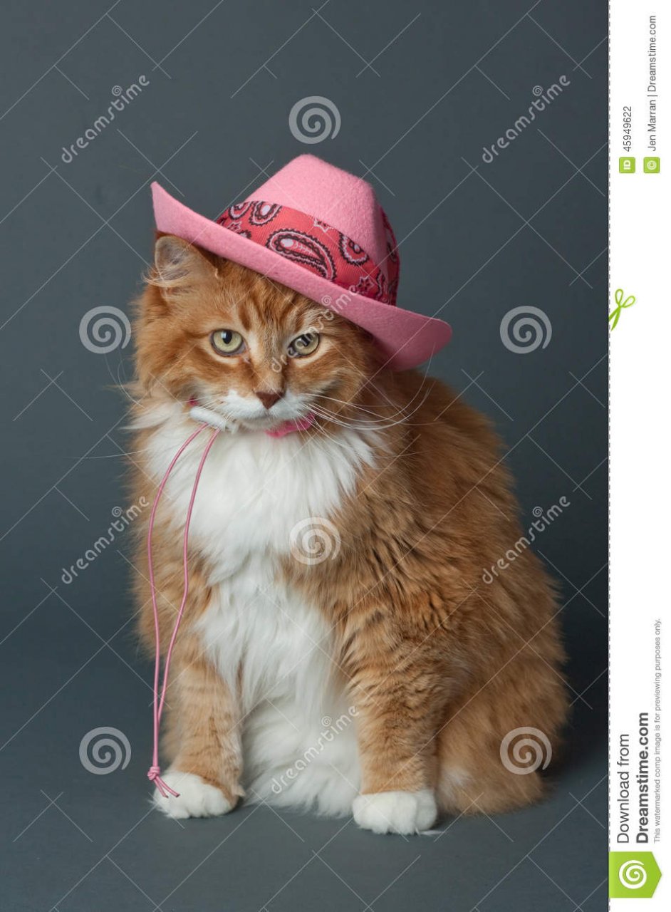 6FA7F4C4-ED0B-4917-8C21-1B8C47322AD6.jpeg