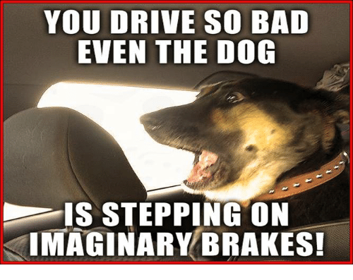 708DEB48-25A6-4FD8-BC84-938F5E4C8E5B.png