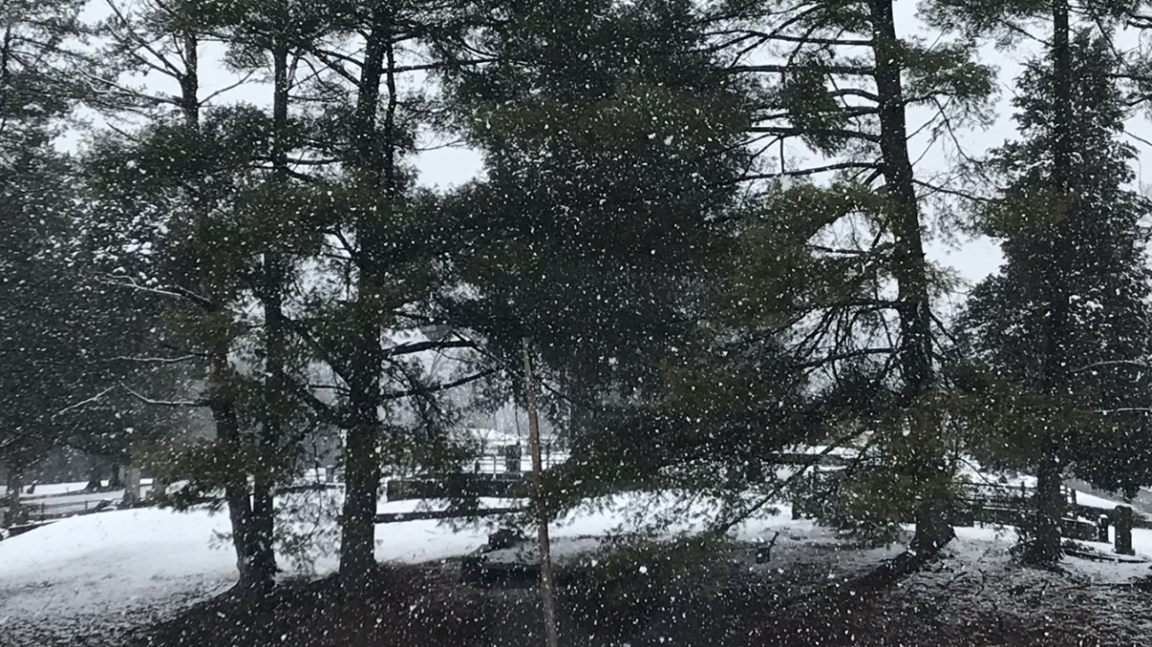70C7605D-E54D-4875-A0A6-B4D8F3910F78.png