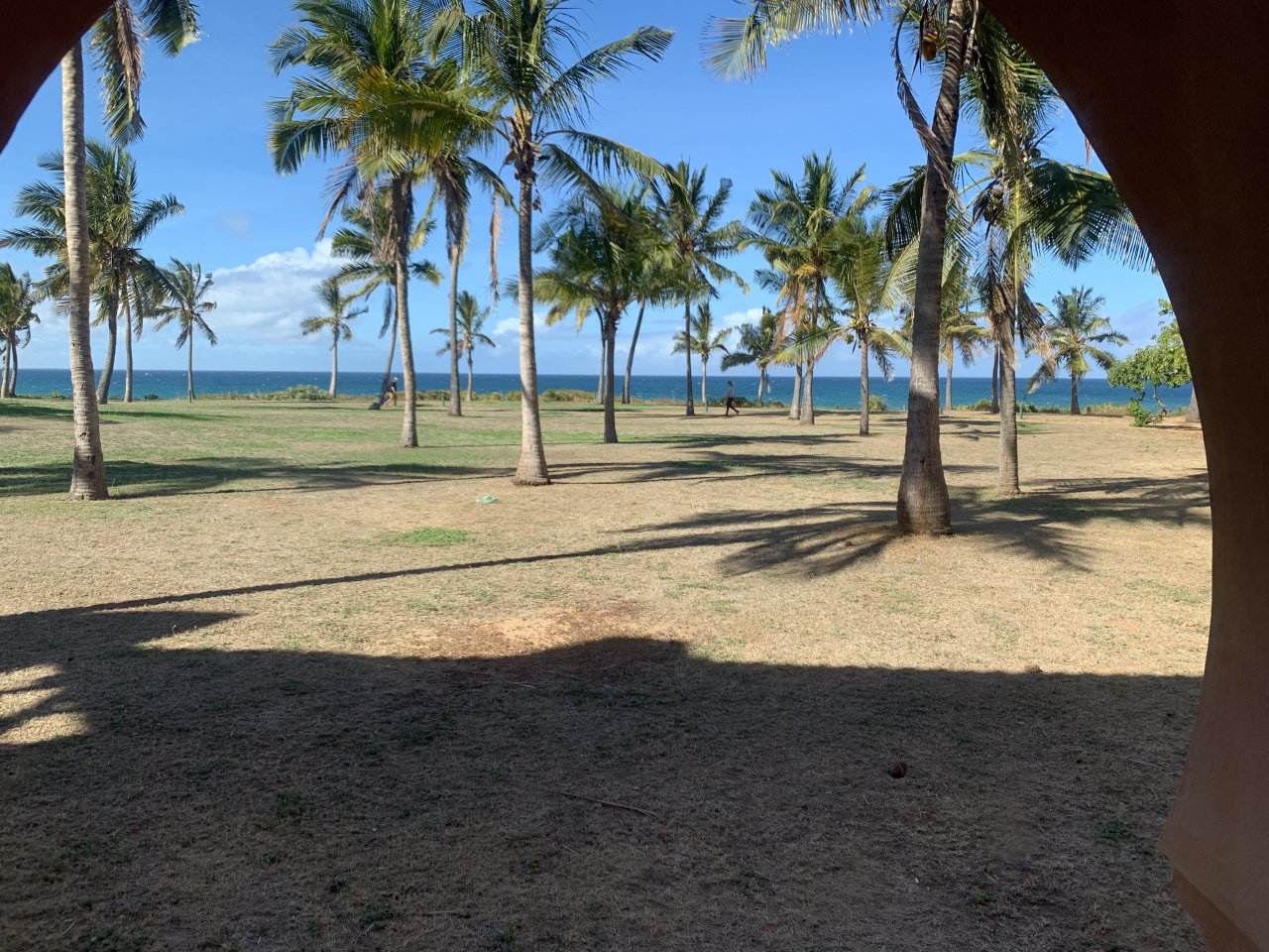 72055AB1-EF1A-46F0-B731-7AF55DE4B007.jpeg