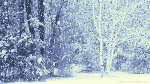 76F4D1AB-6E00-4C58-A39C-5C0A63212EBF.gif