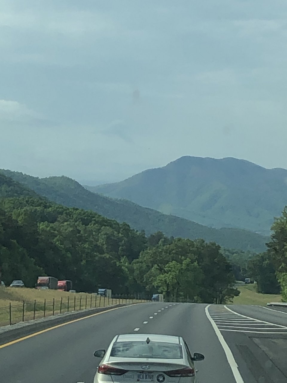 77018591-F0DF-4C1B-8968-E0FF80E60623.jpeg