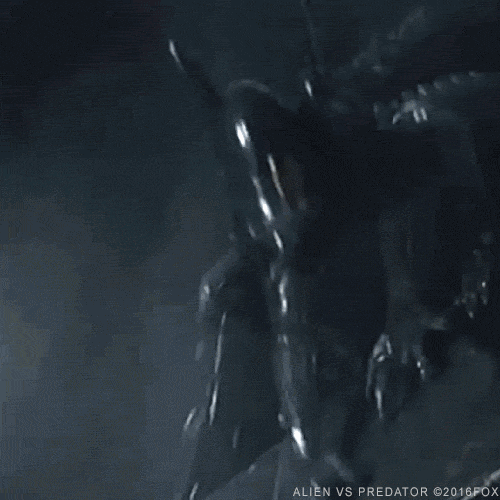 7891A637-DF59-4BC6-A49B-0F60A2B1407C.gif