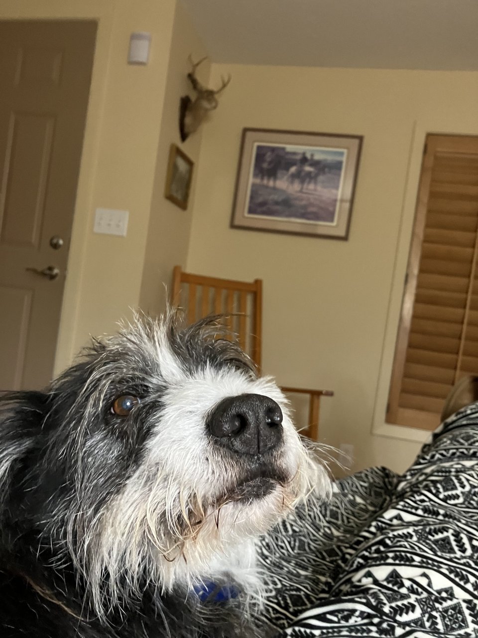 78D74165-4372-490D-B0CA-59D7A6D6D2A5.jpeg