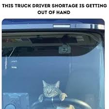 7B29A54D-E67F-4B9C-8AE8-D97DC67C9E81.jpeg