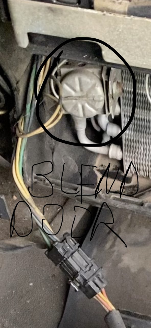 7D50EFA9-0A6A-44FD-BD94-00AEFC4A4BC5.jpeg