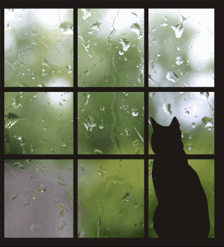 81DF015F-114A-4217-818E-519388B7D637.gif