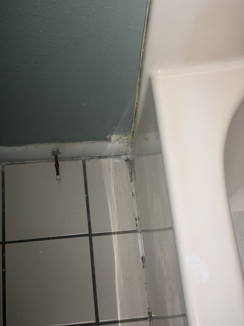 81FD7599-43E8-43A5-A248-D0D5883974F0.jpeg