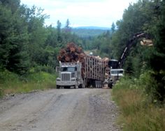 82c03978769d90e729aec54d7f683994--moose-camps.jpg