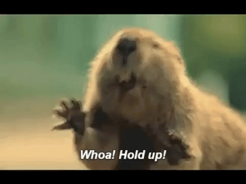 8DD70EC4-1779-427B-B373-B85478C3D1F1.gif