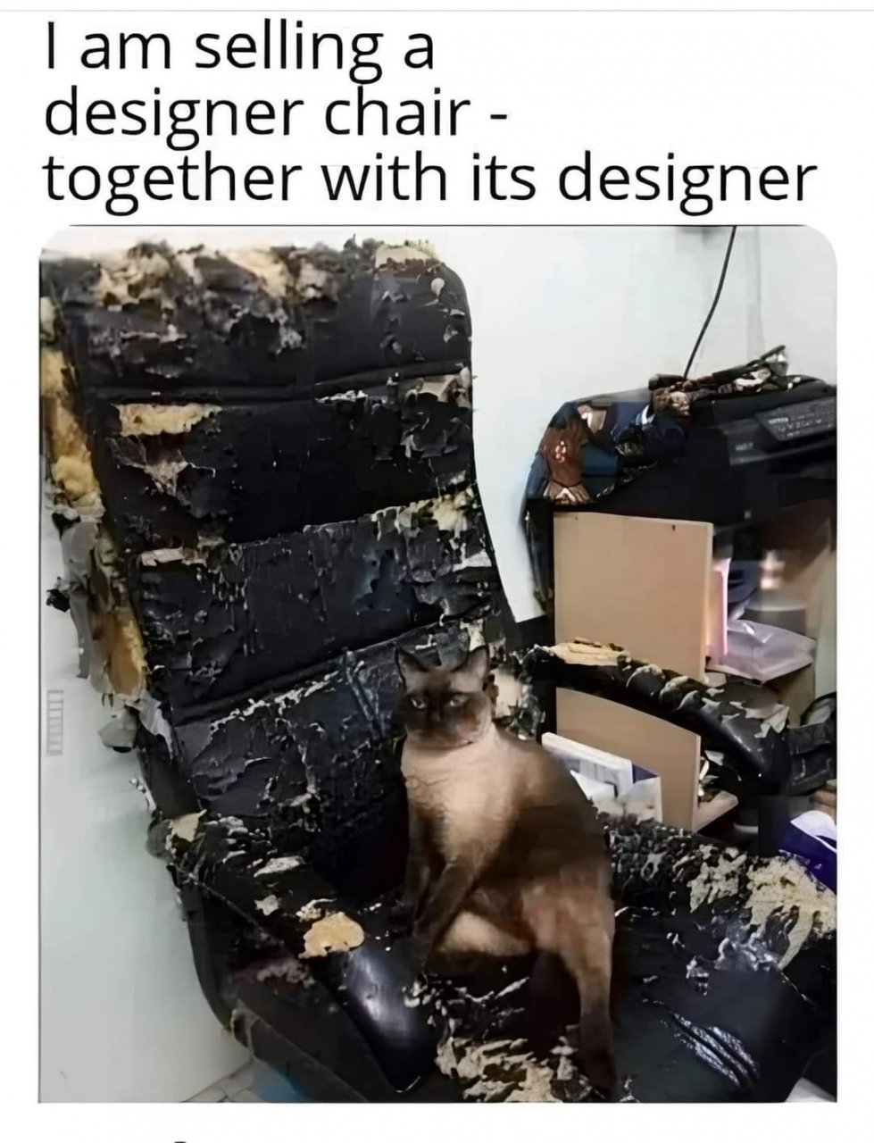 9359.jpeg