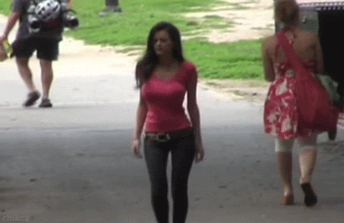 9827856.gif
