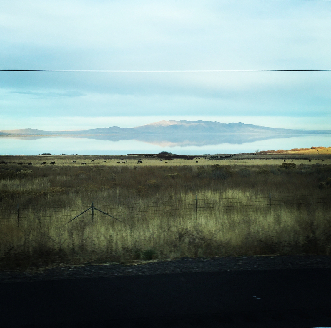 9A16975F-EFE1-4E7A-8E30-4924085304A2.jpeg