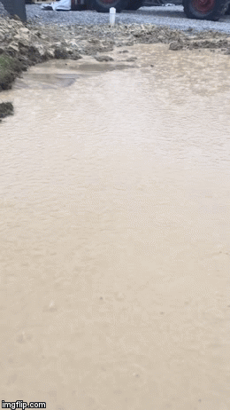 9B98643A-73FB-4F14-AABE-3E8591ADB6C0.gif