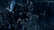 9B9AF424-C051-437E-B701-2E7C50FF0D64.gif