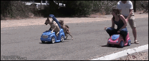 9D93EFDE-2496-48F0-9C97-6954AED1E586.gif