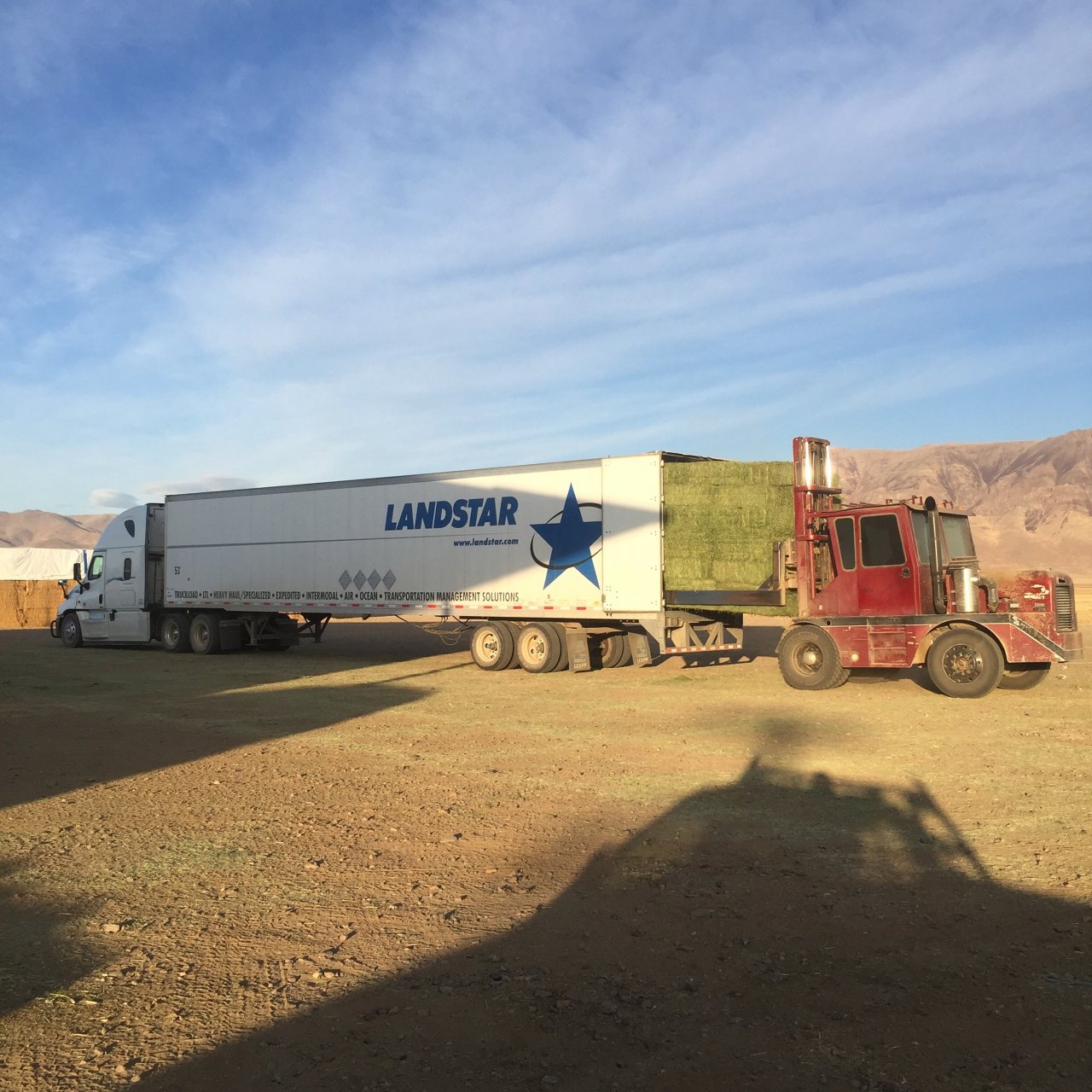 A3551E69-DE5F-4BF5-8BA3-6521361D03F9.jpeg