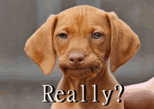A7DF5DD7-E93F-42BC-A462-DD5FC06736B9.gif