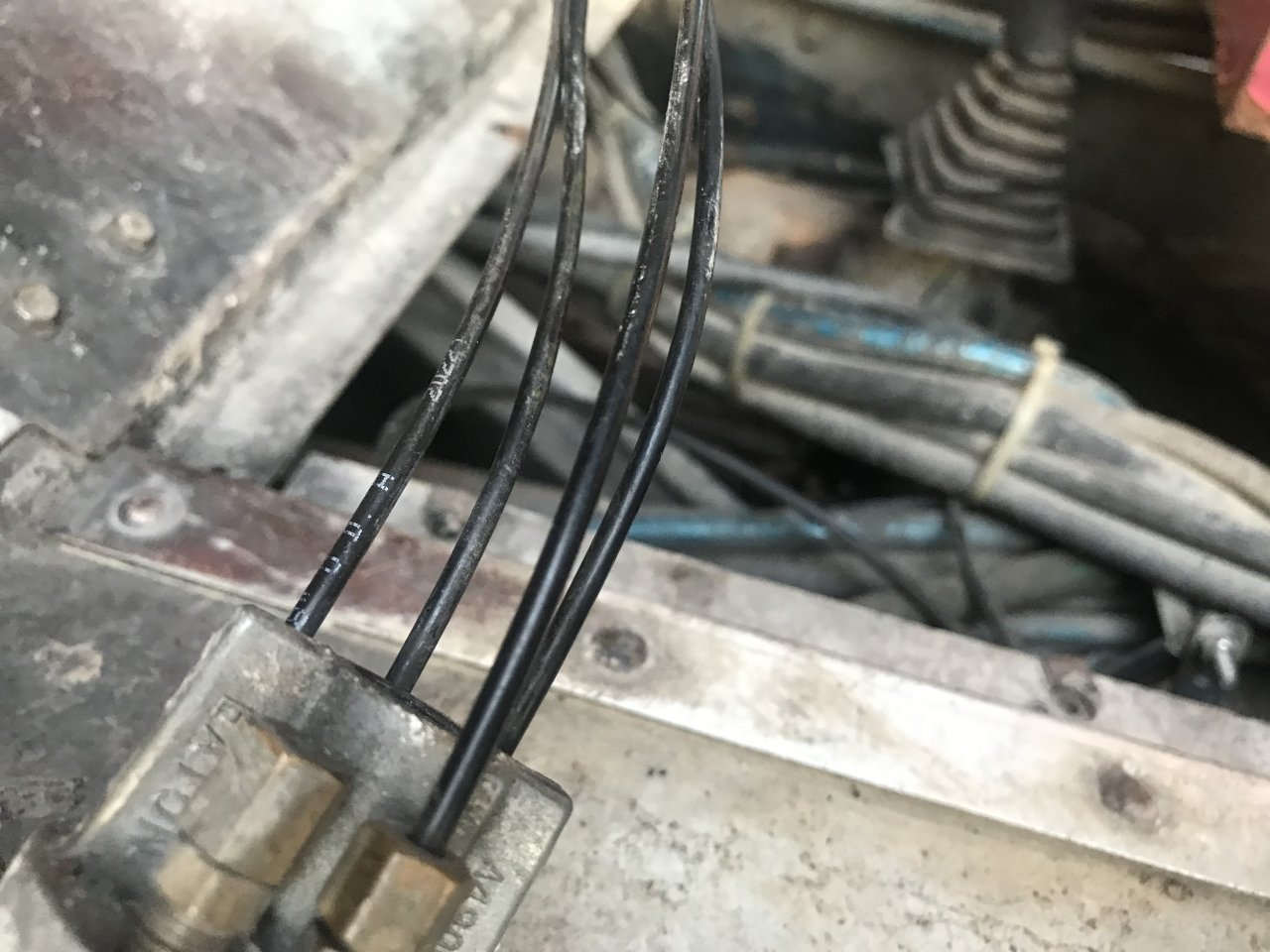 A8AA5EBC-2D5D-410F-8DAF-41790F6056AA.jpeg