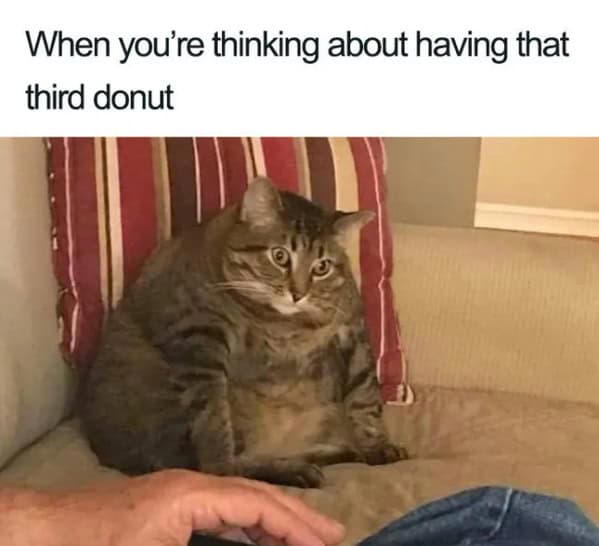 AA1BMoQW.jpg