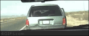 AAF70268-D357-4F52-A00C-4537B353E571.gif
