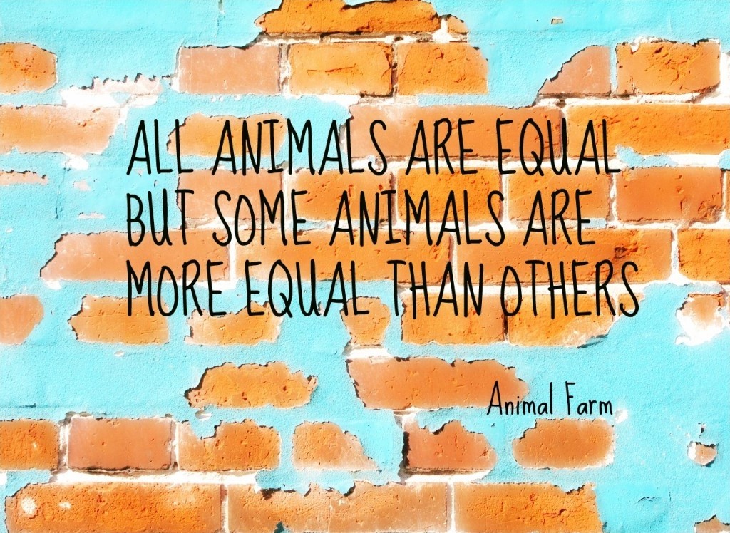 Animal-Farm-Quotes.jpg
