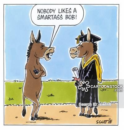 animals-degree-learning-university-smart-asses-swln6_low.jpg