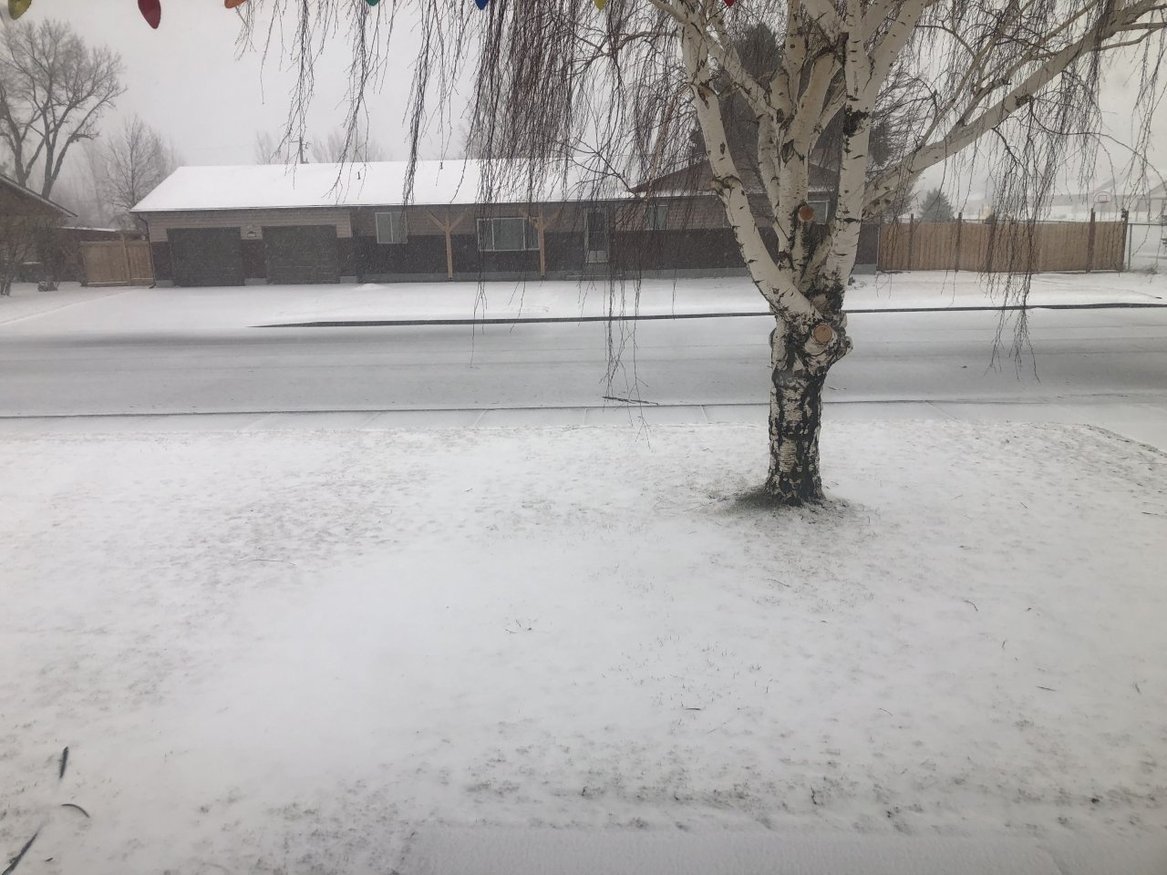 B2BA32AB-FBF9-4E3C-B91C-3B1194117065.jpeg