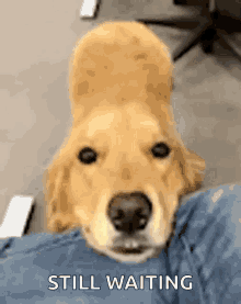 B347A8F6-279F-46D2-BE4C-27A90C7FE4B2.gif