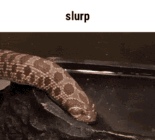 B8F30357-593B-41A8-B6A5-0E0EB4D2C1C1.gif
