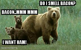 bearbacon.jpg