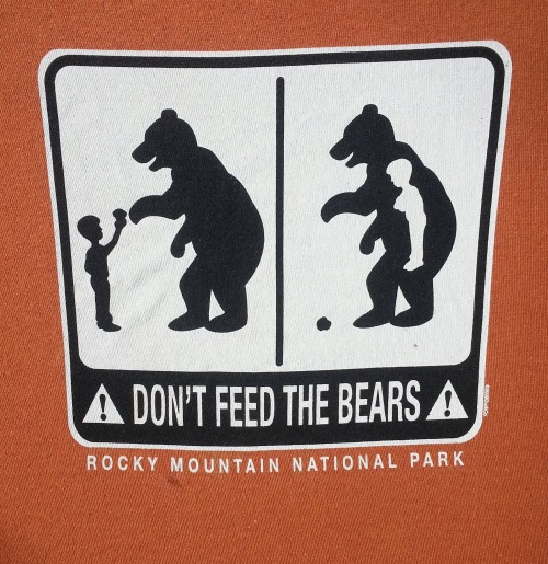 bears.jpg