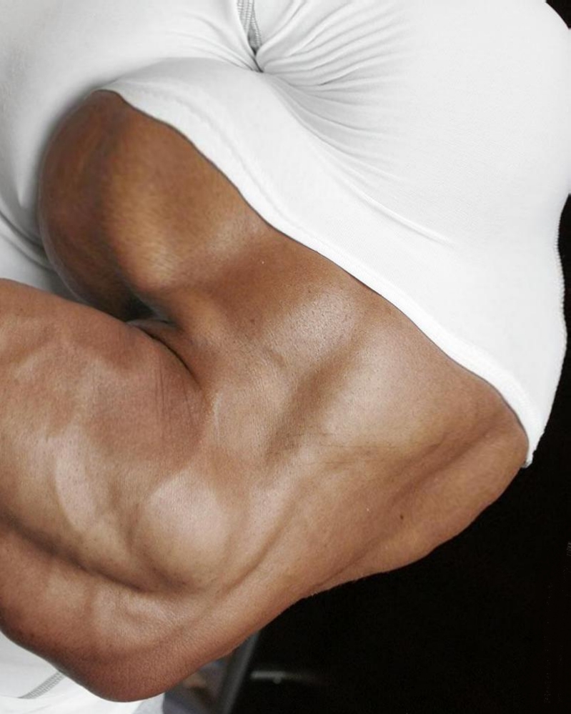 big_biceps_by_n_o_n_a_m_e.jpg