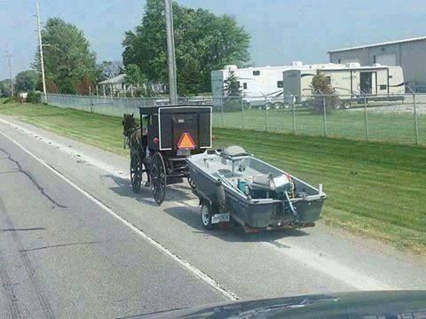 buggy.jpg